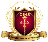 Cardiff Institute